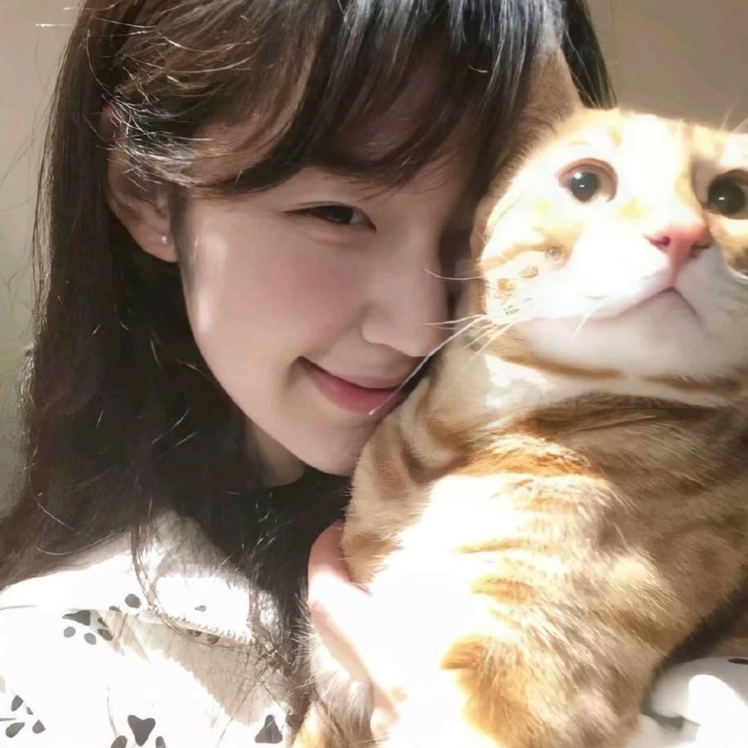 咪猫喵