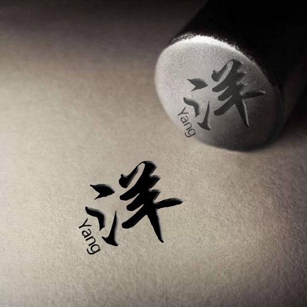 洋司令