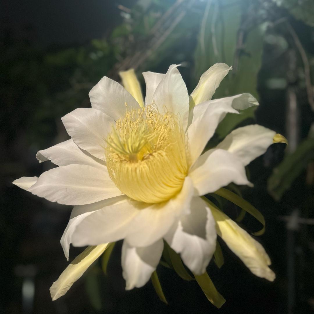 东达驾校小珊