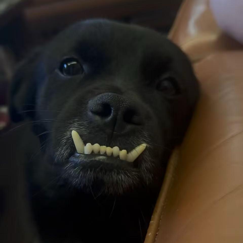 包给谁说