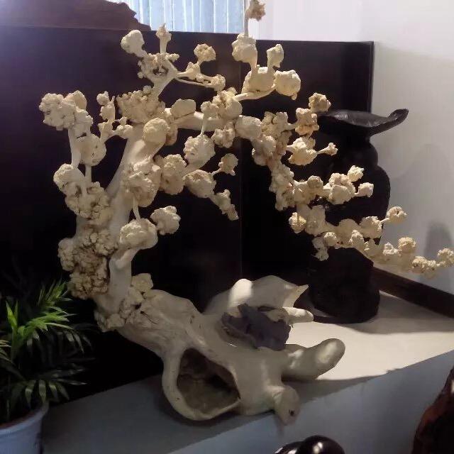 平凡人生