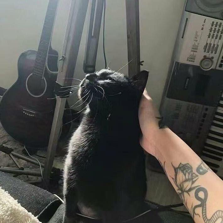 Y.y
