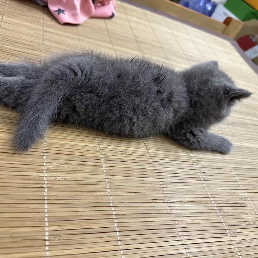 🌈🌈薛之谦啊🌈🌈