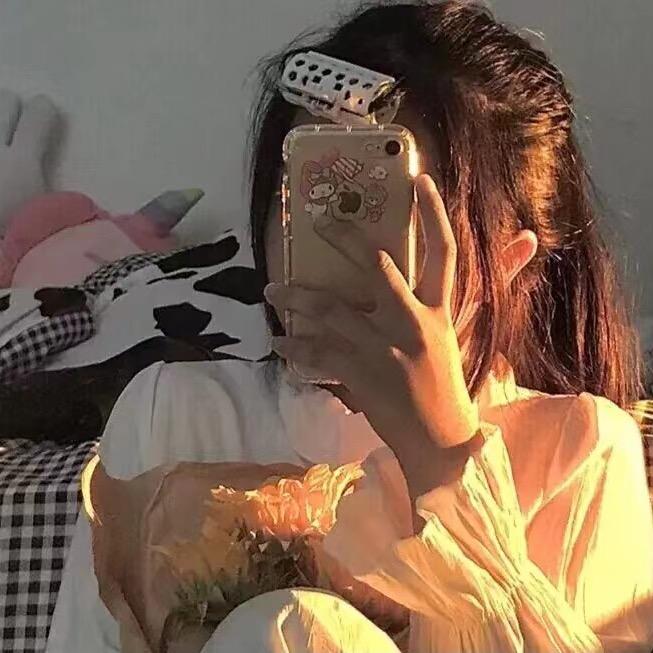 番茄的追剧日常