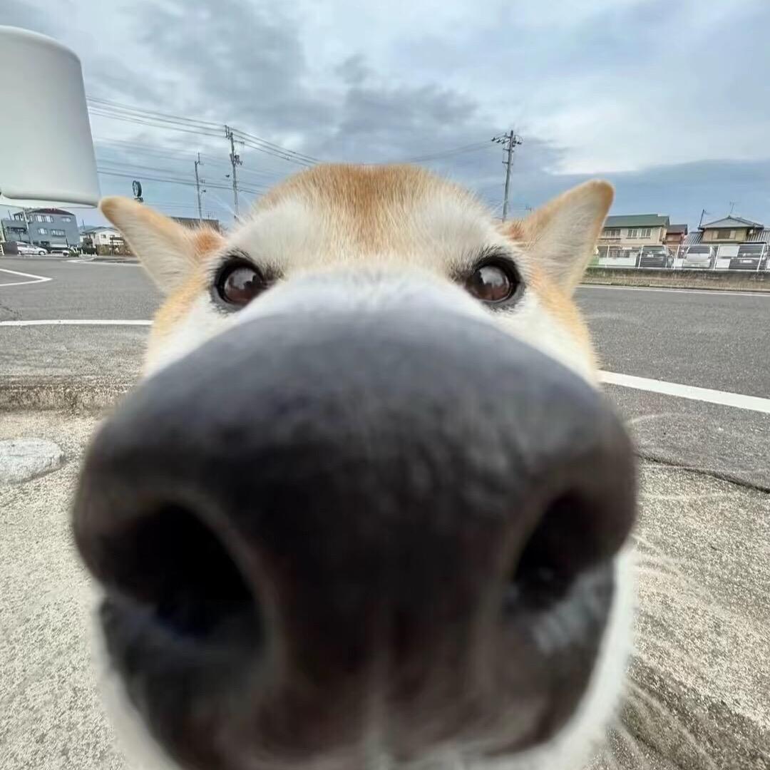 大力o思