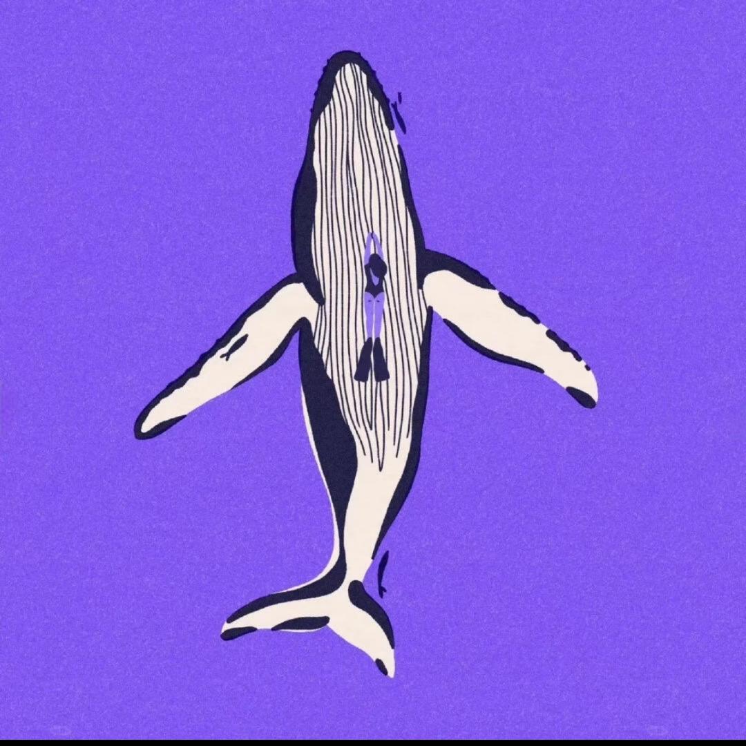 布理艾尔🍒Brielle