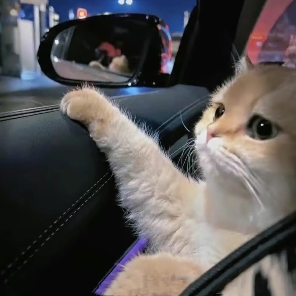 用户3956954928410