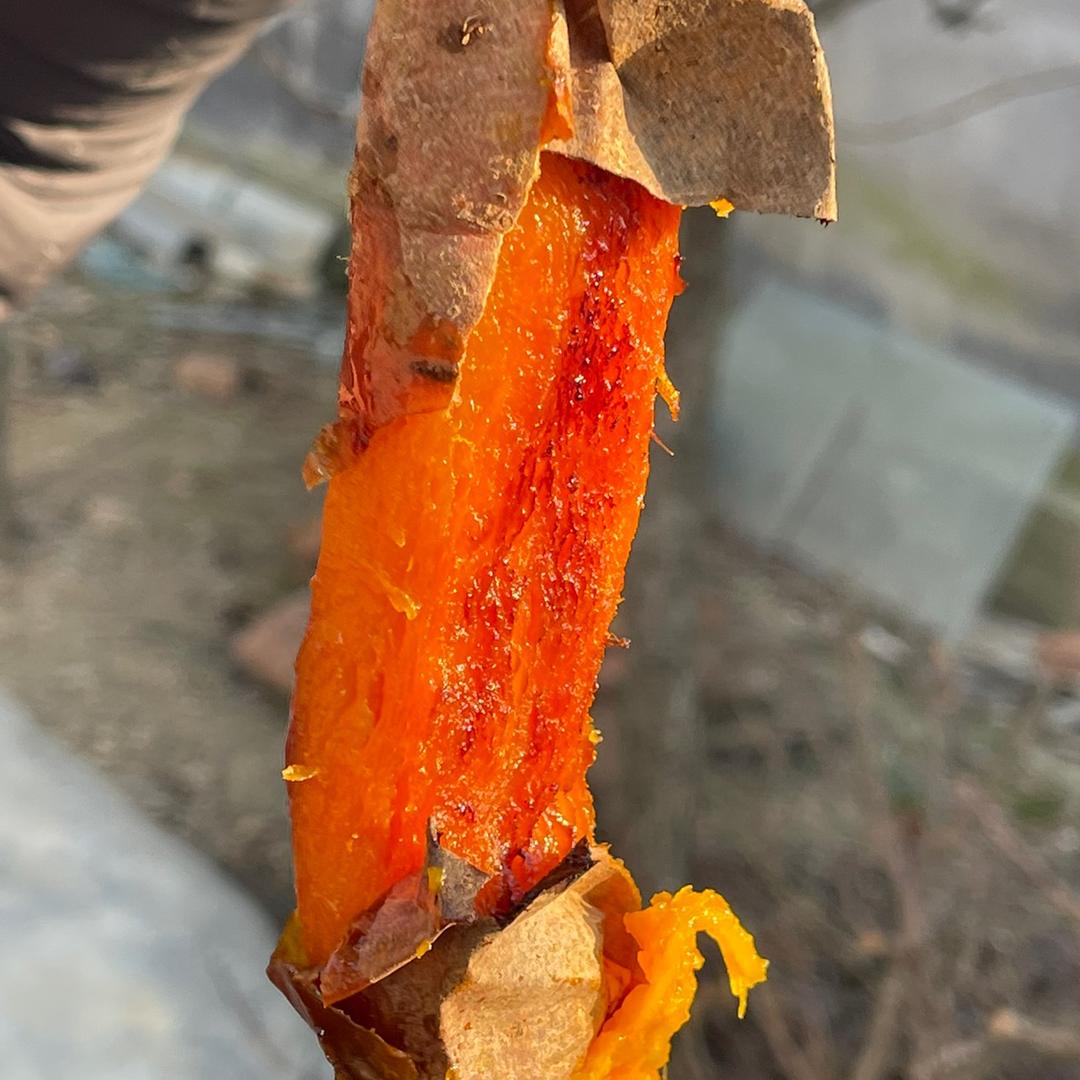 张婆婆果蔬旗舰店烟薯