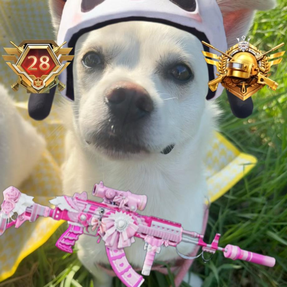 5.23