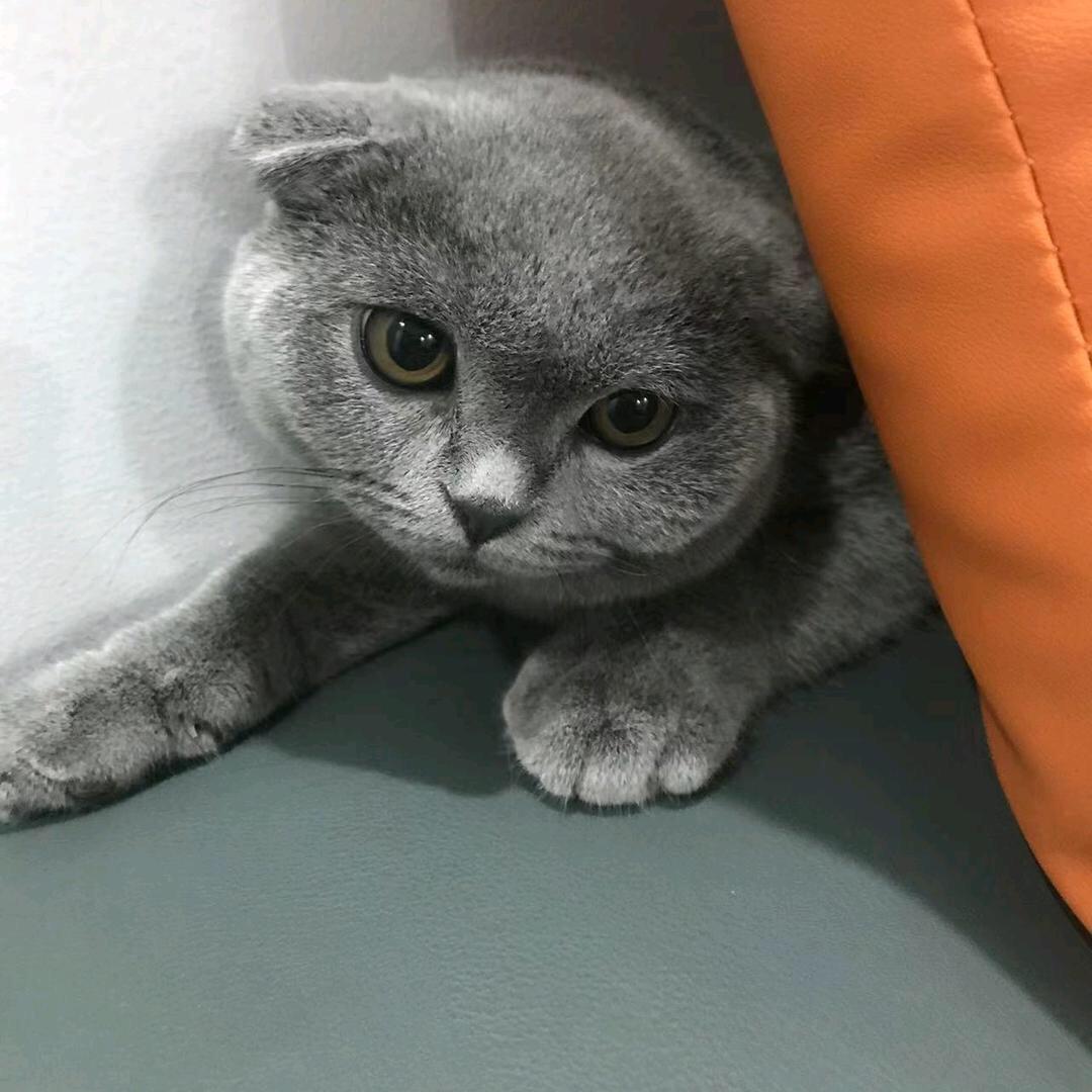 可以连你家ᯤ吗？