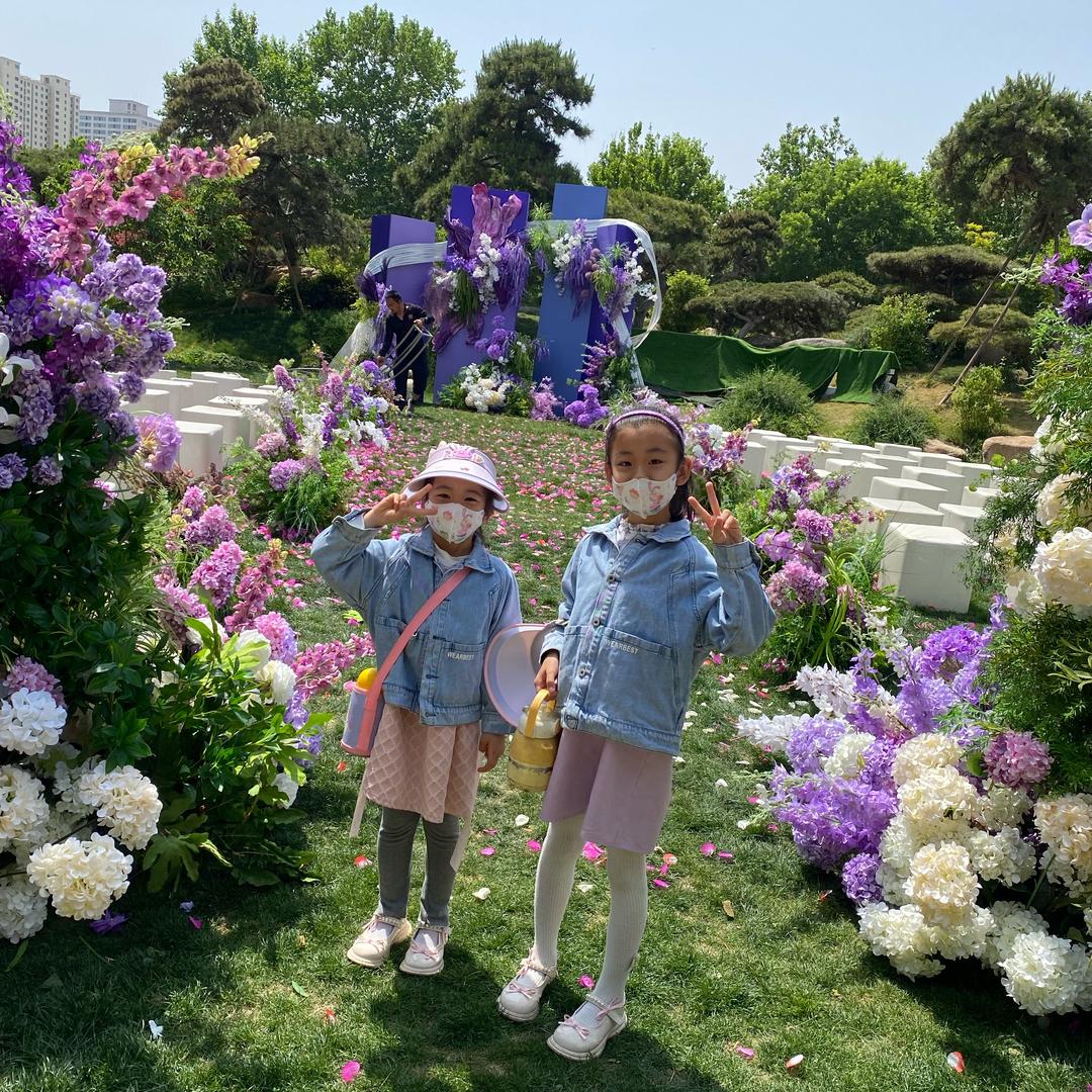 带着鸡鸭去旅行