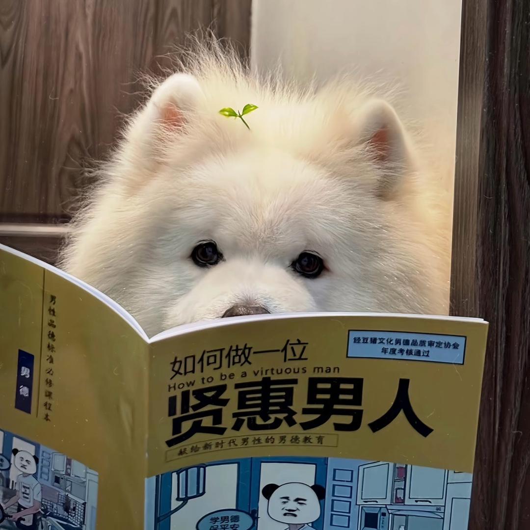 老白哟