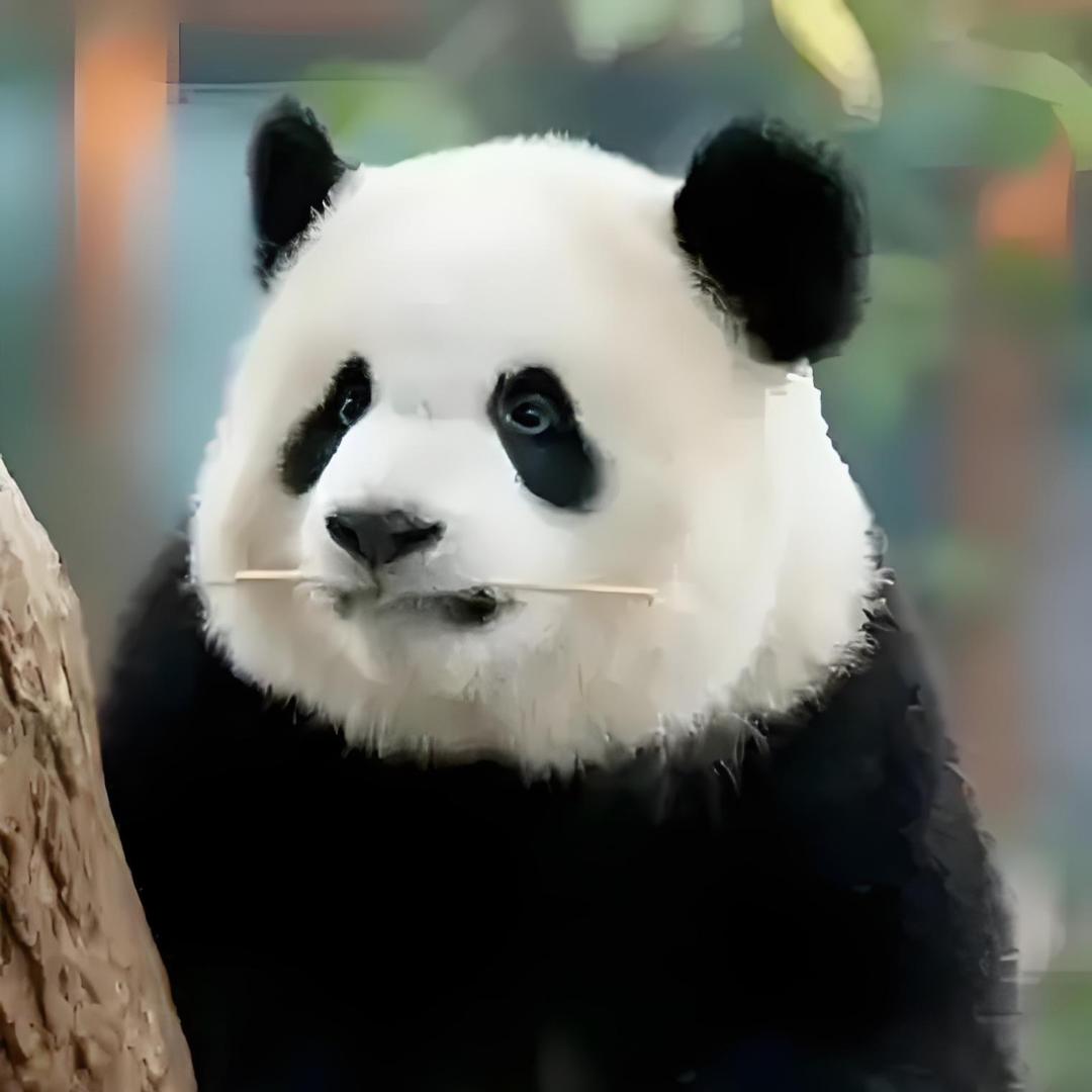 嫩草