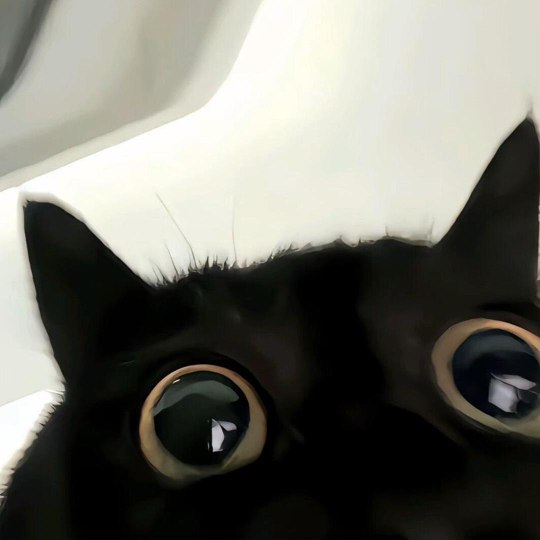 ⁥⁥⁥⁥十七