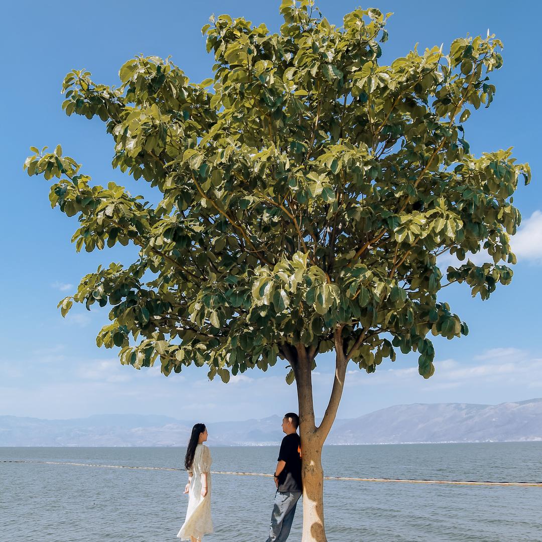 🌈有小林很开心