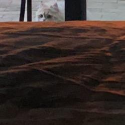 ..