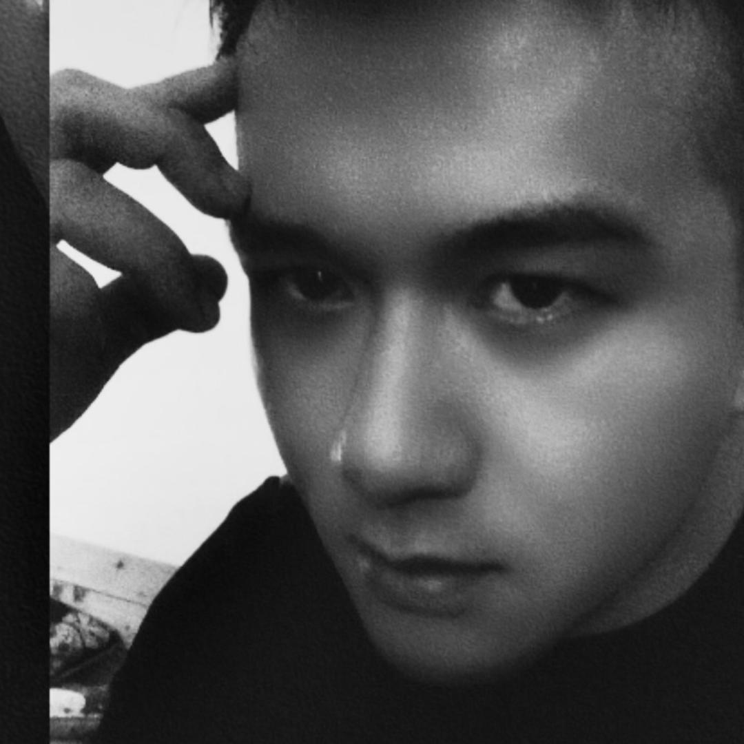 ₅₂₀᭄灰乌鸦¹ᶾ¹⁴