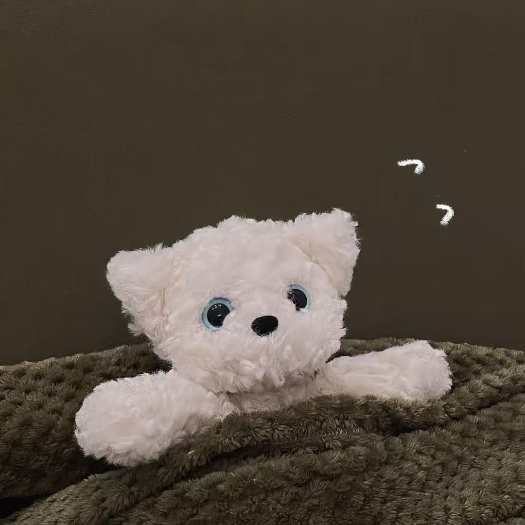 _Cy