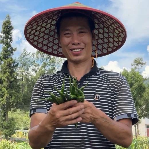 茂哥在农村