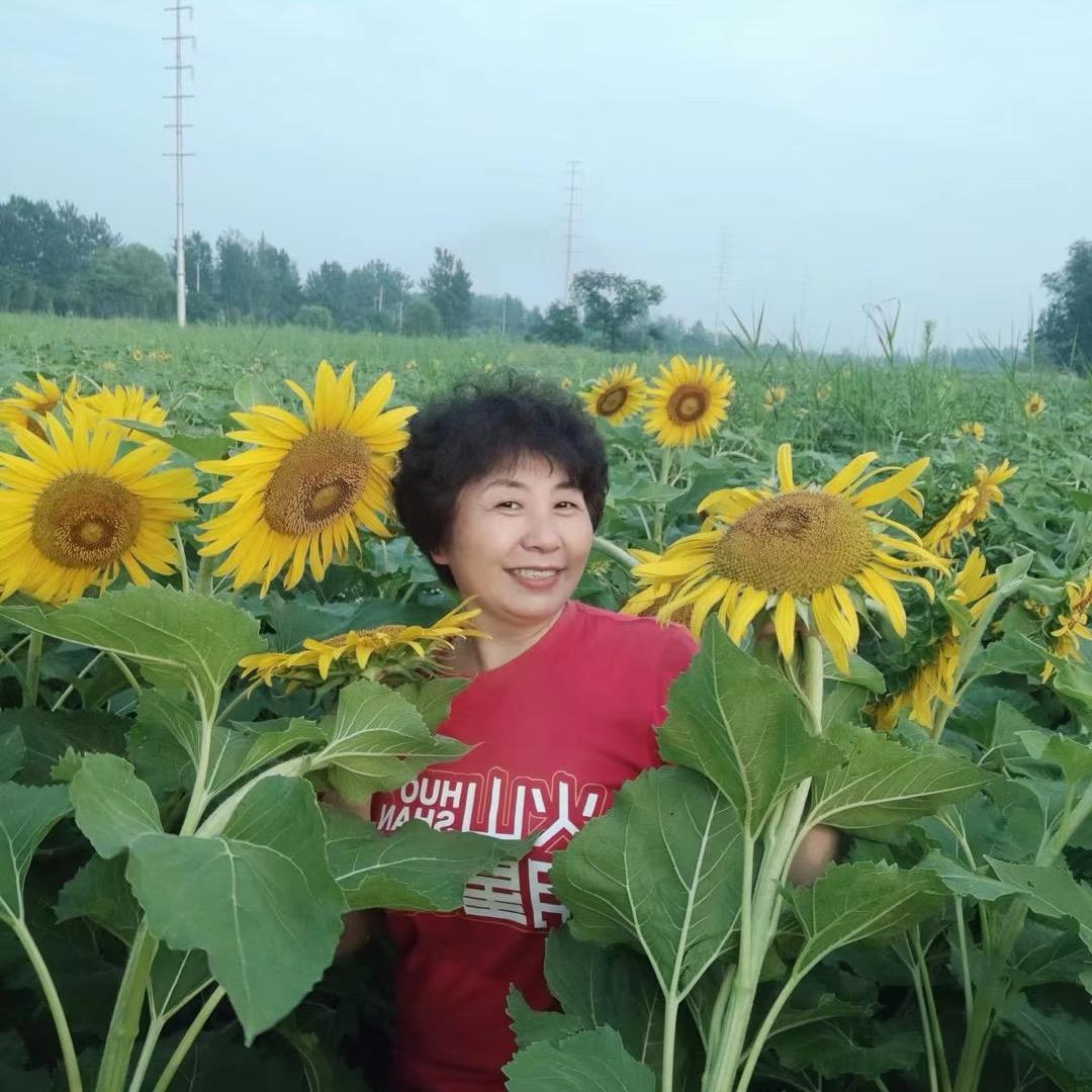 舞韵之心 莉