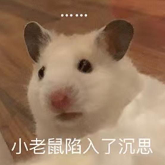 狗头骑着小猪