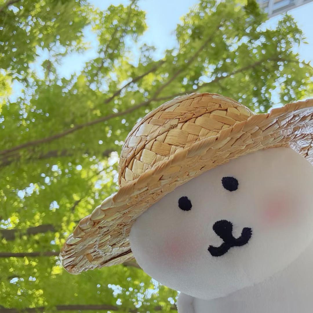 同杉工贸源头工厂店