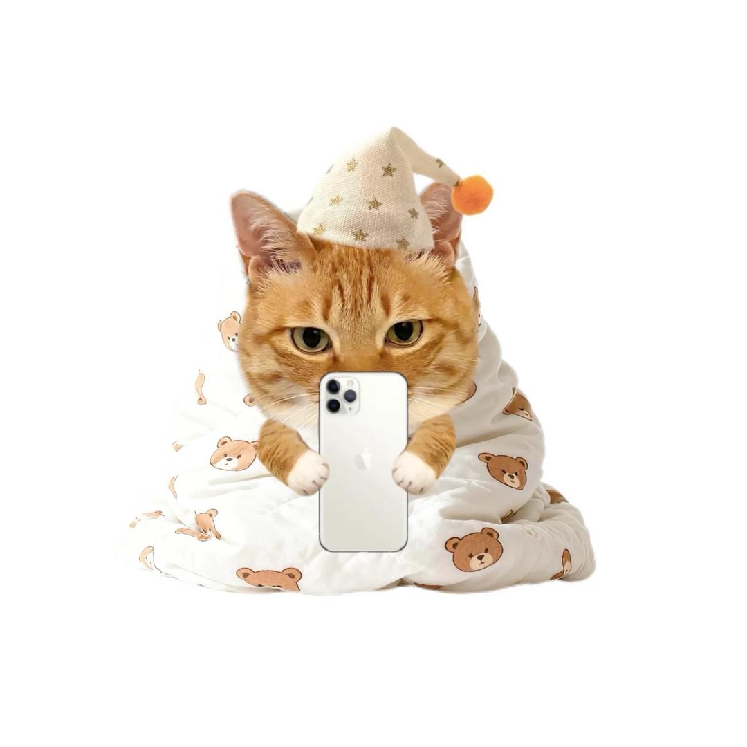 猫凹