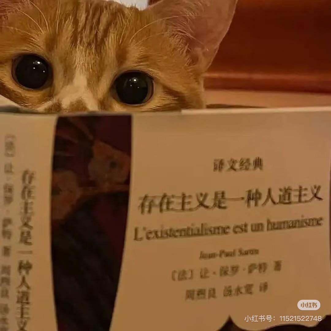 爱学习的momo
