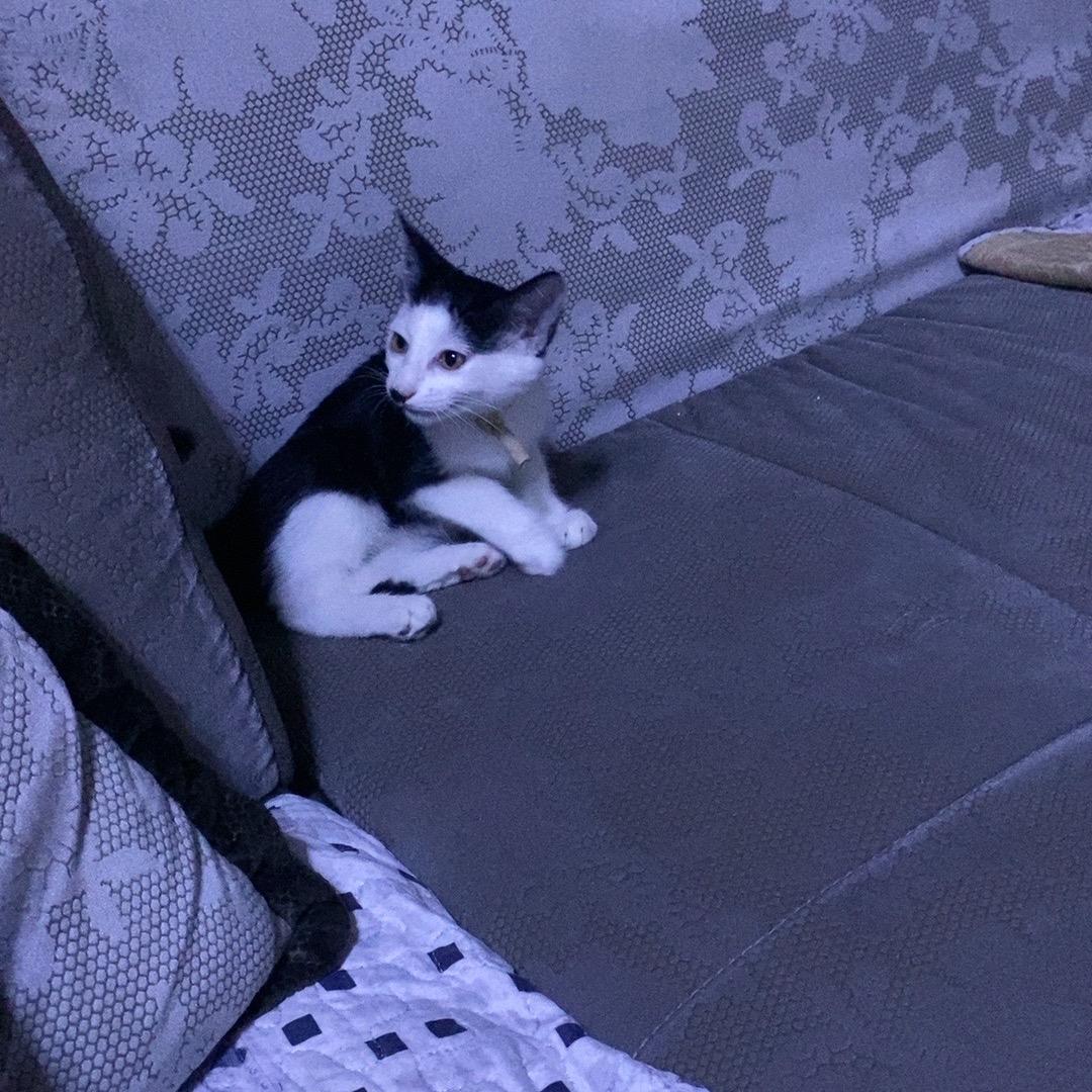 为什么不相信我