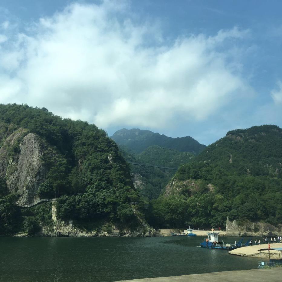皮皮虾