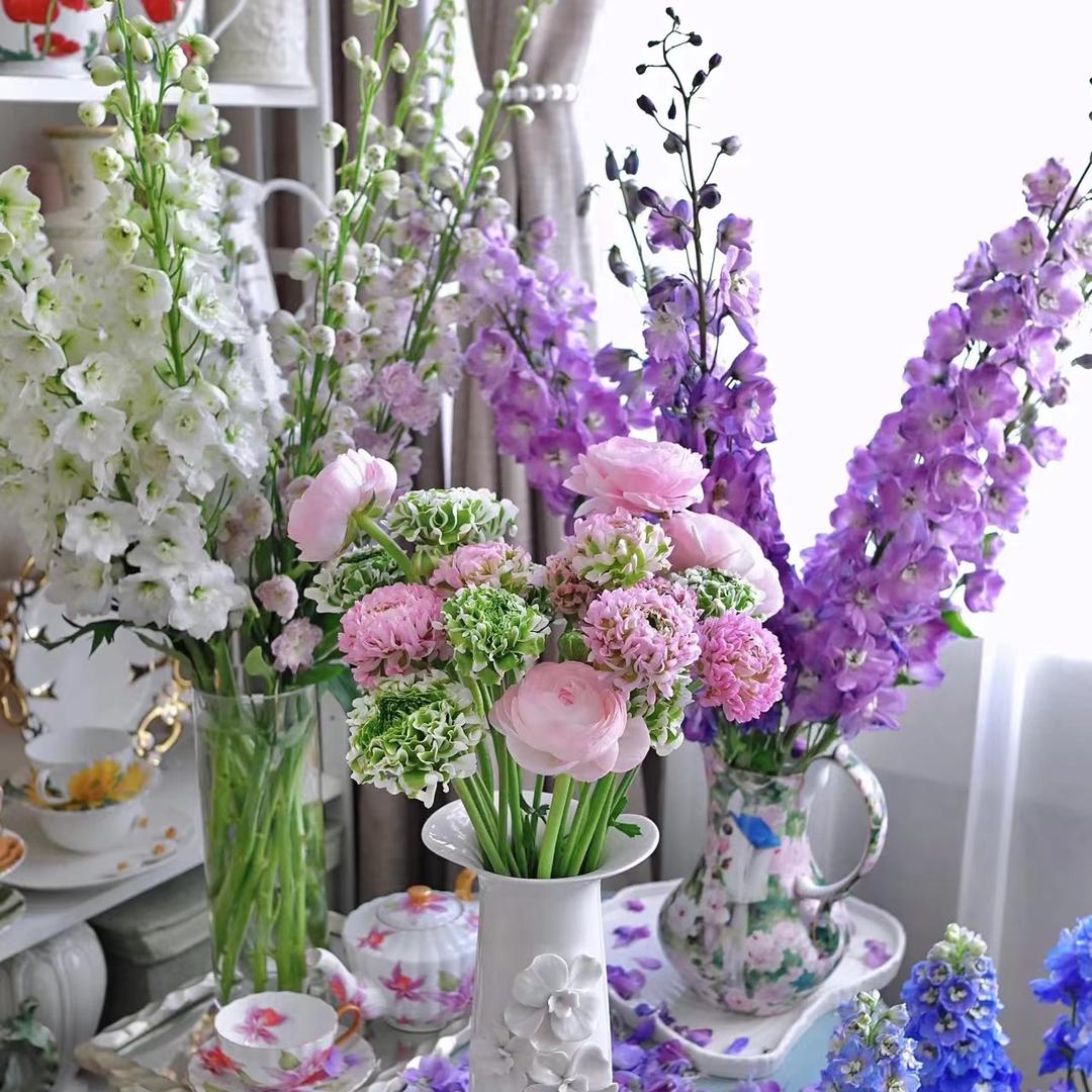 云舟鲜花