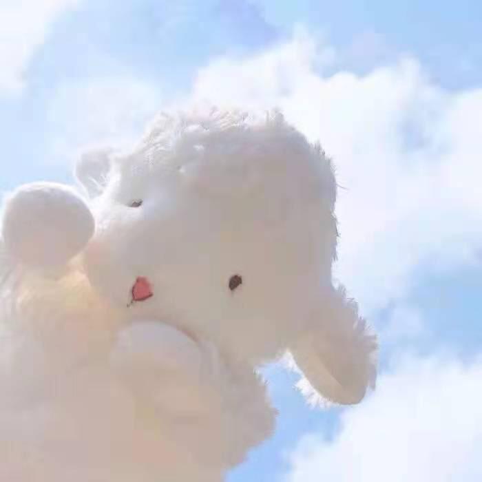 小羊优选