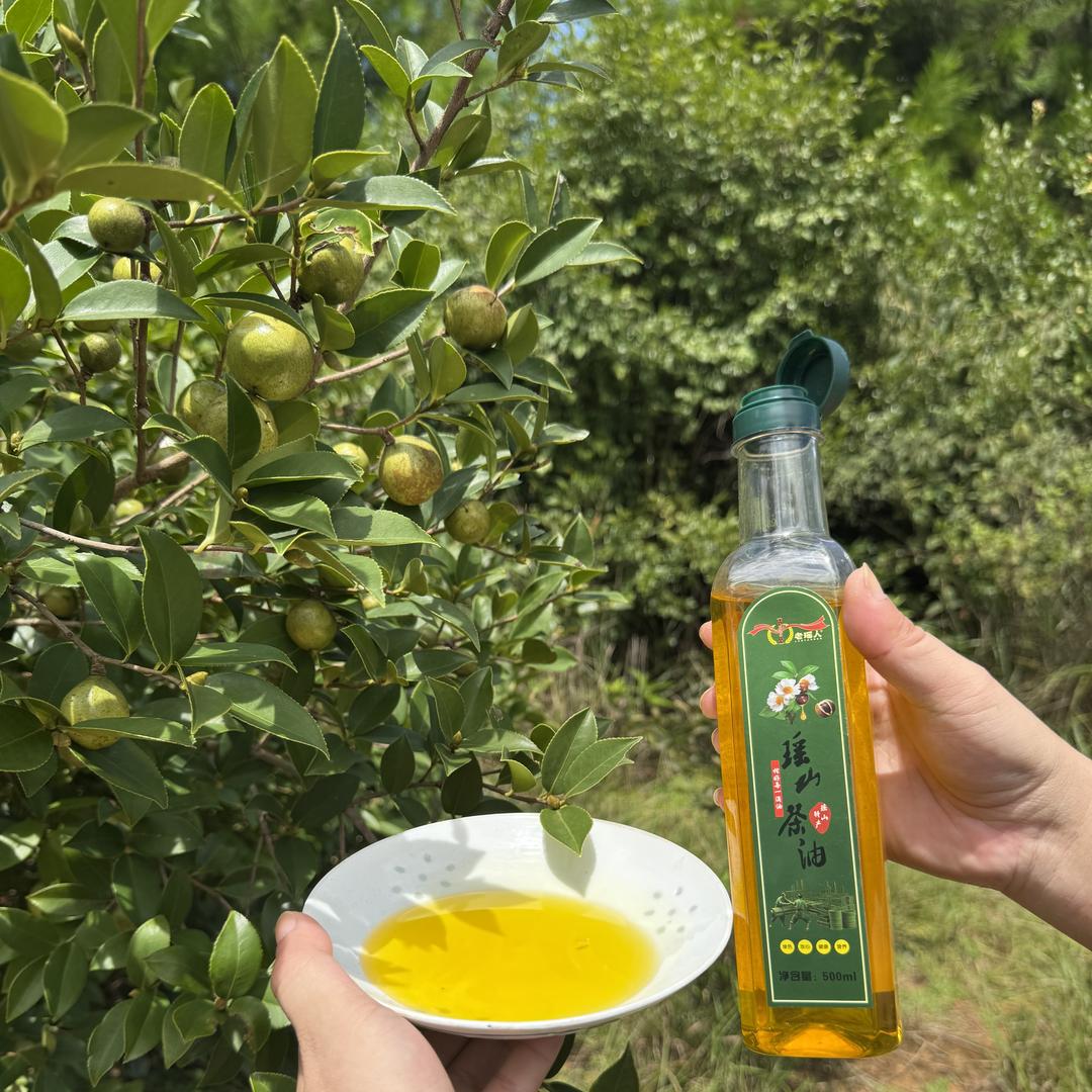 老瑶人山茶油