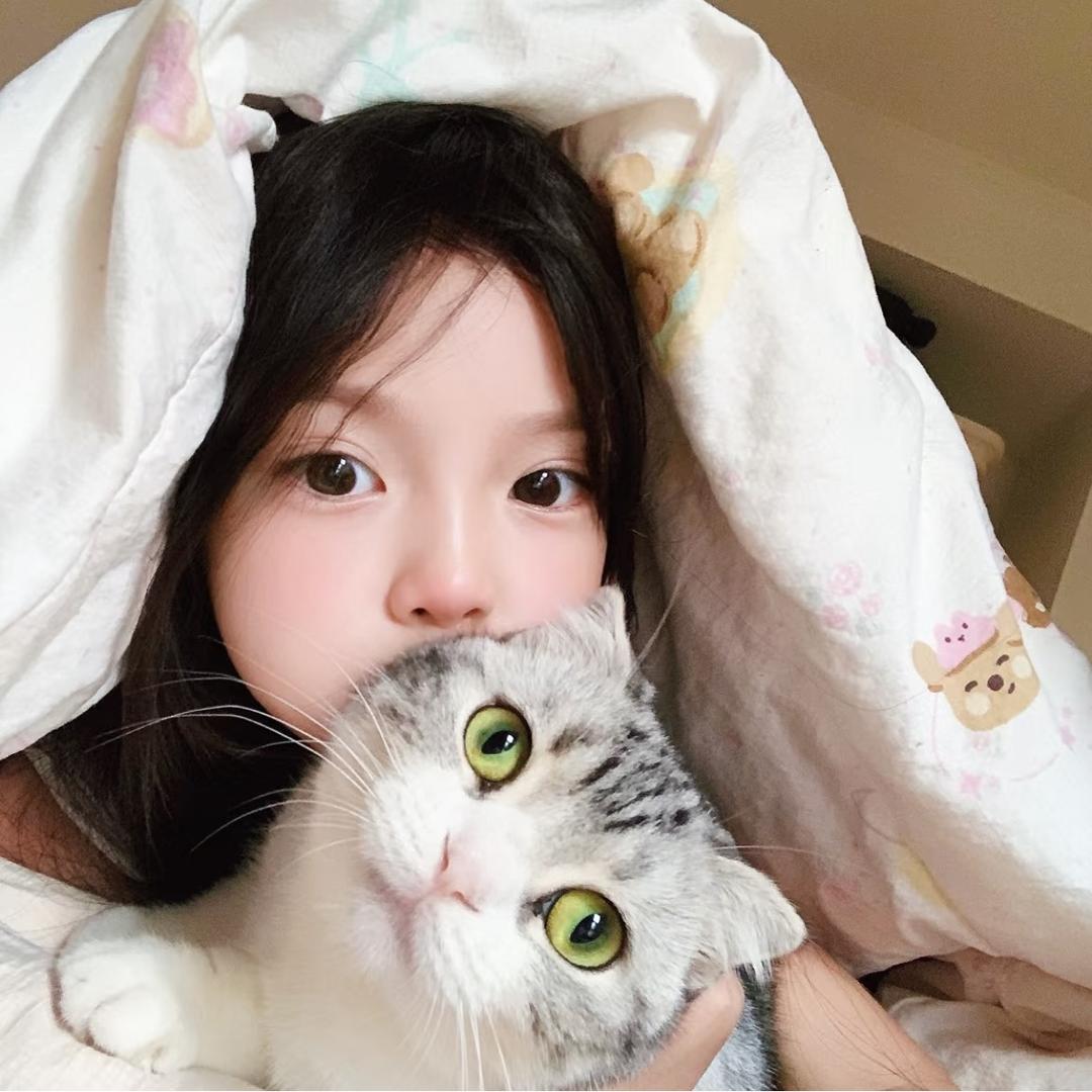 布偶鱼.