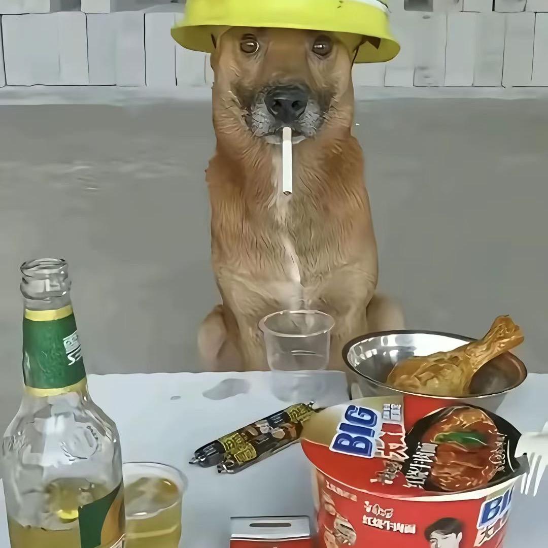 南南
