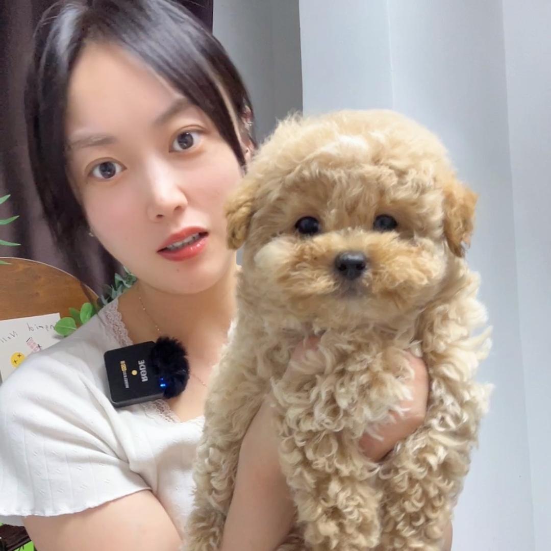 狗殿pet🐶