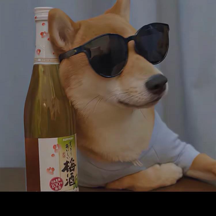 二哈哈哈哈哈哈
