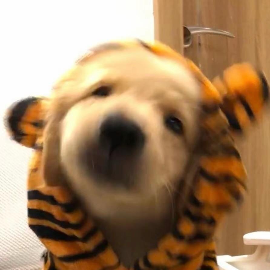 意意