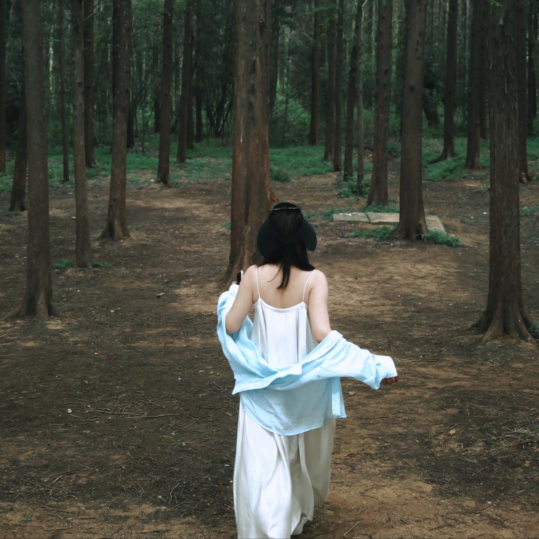 Z 🦋
