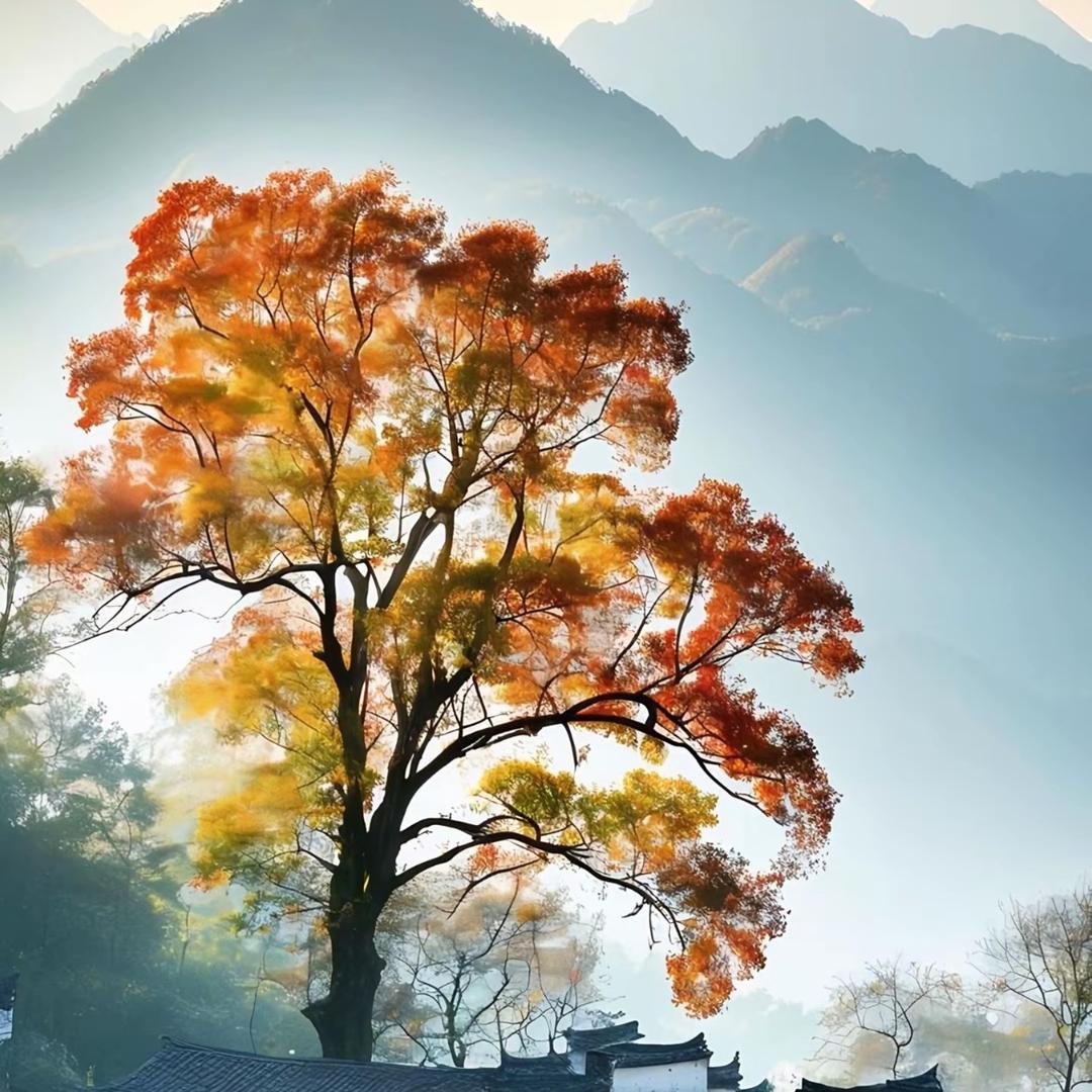 陈江