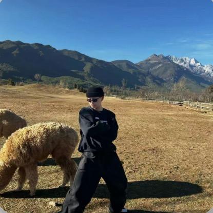 不爱开皮卡.