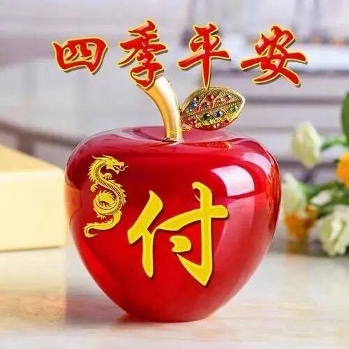 🌺万象♥️皆春🌺