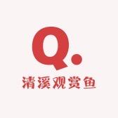 清溪观赏鱼养殖