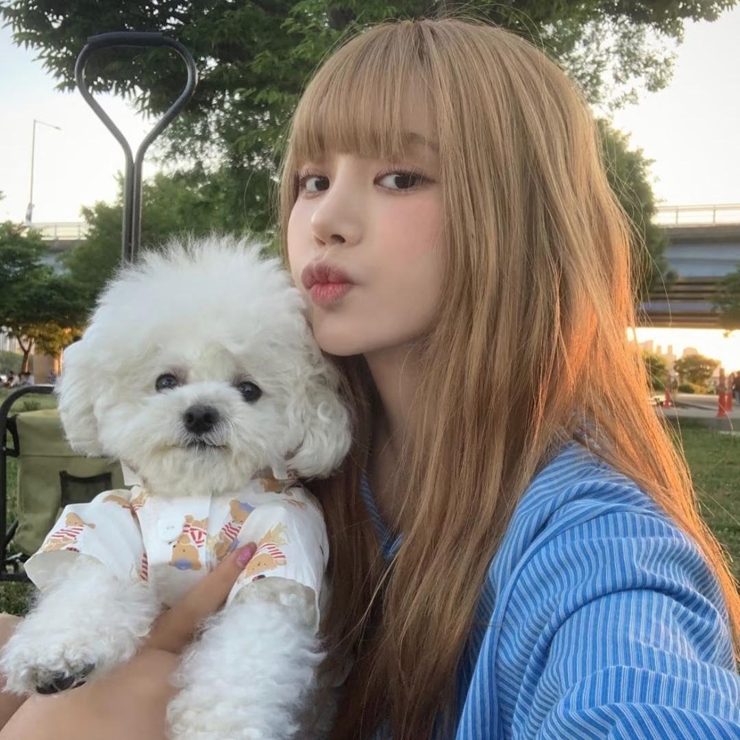 财神爷的小跟班.（互关