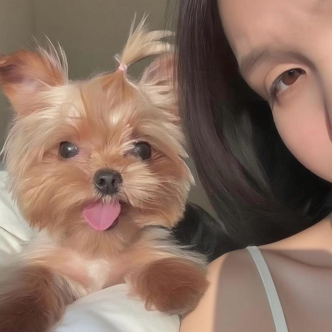 脑袋空空的废材