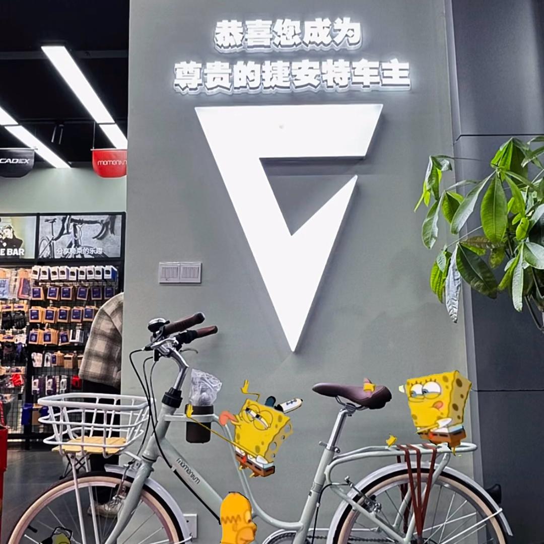 ❤️岳西自行车🚴