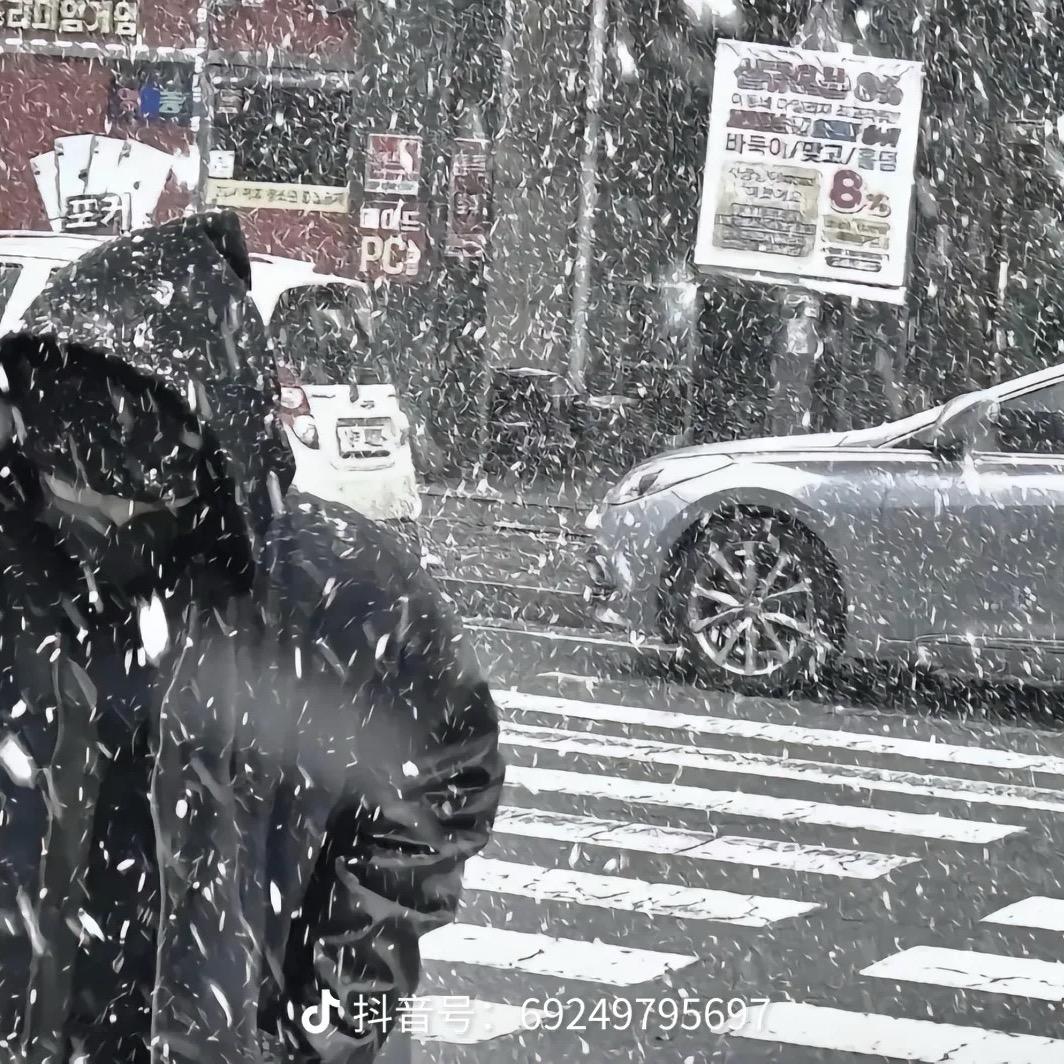 夜晨曦