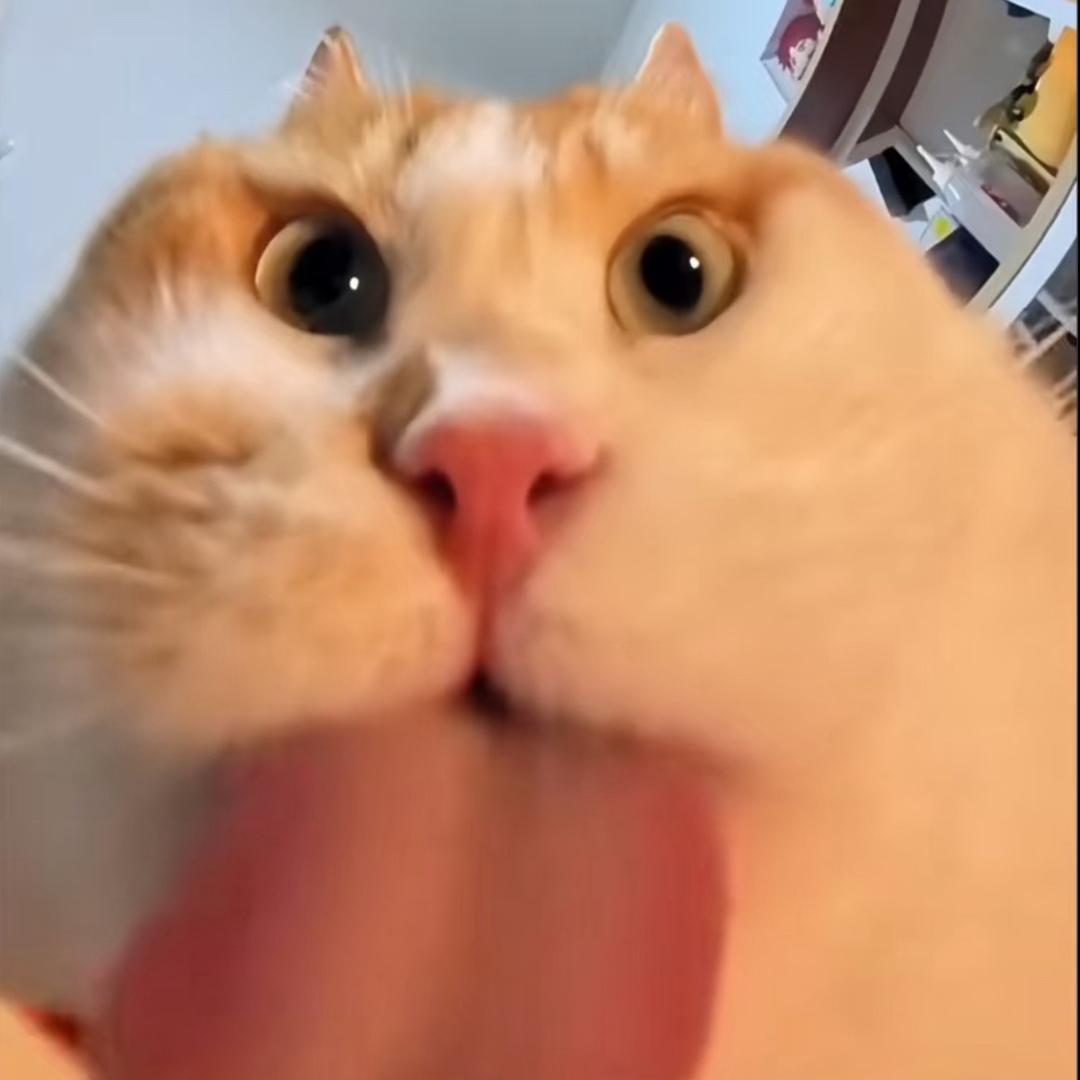 7Re.A