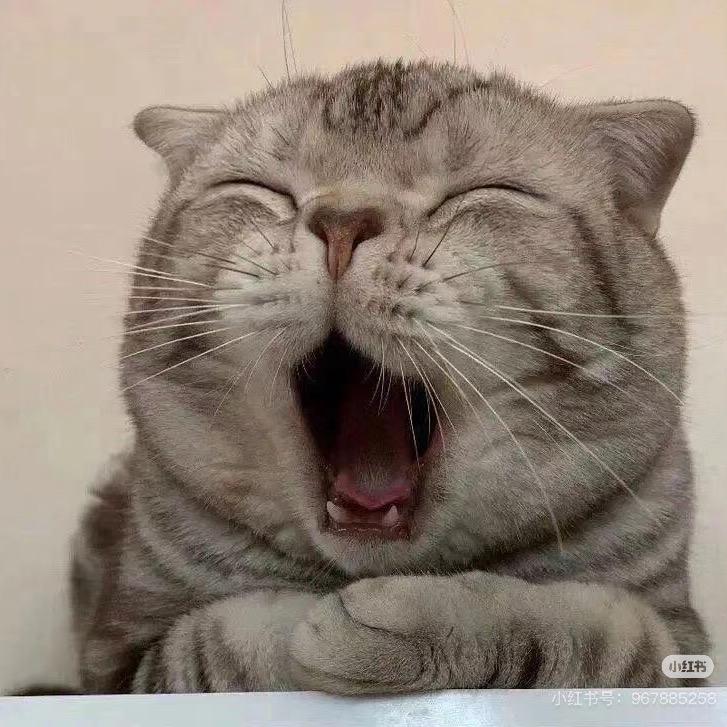 心动萱律…
