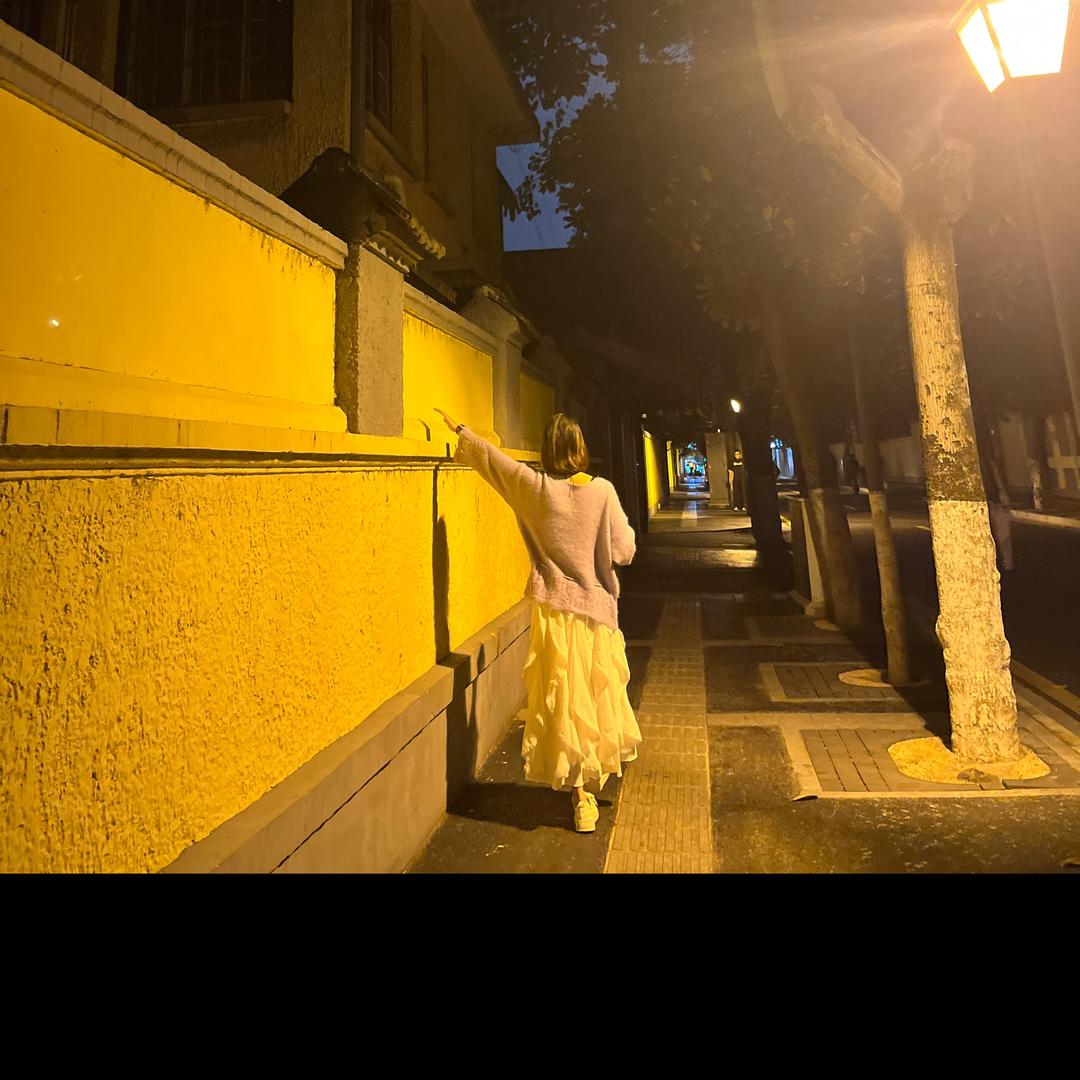 巷子里有只猫🐱